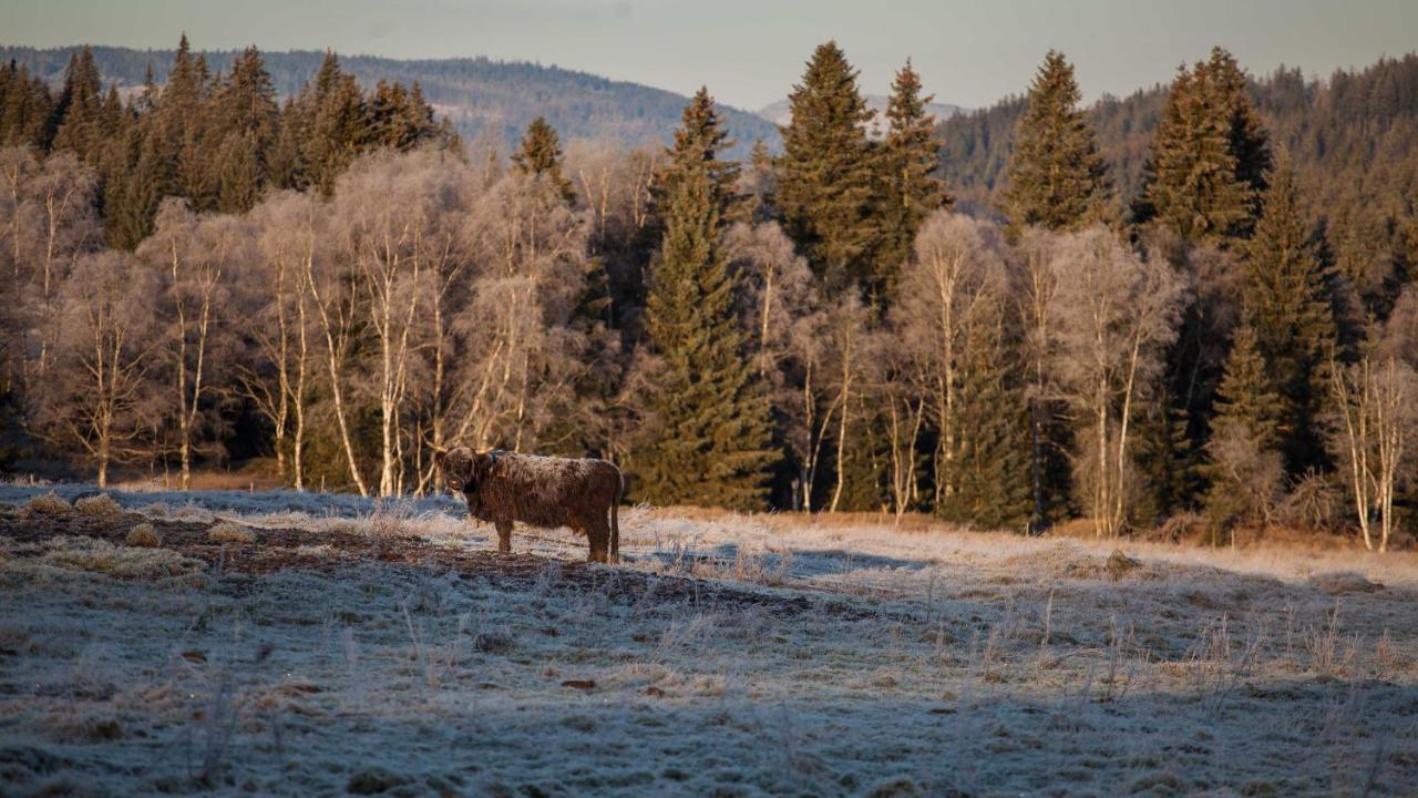 Penzion Horska Kvilda Esterno foto