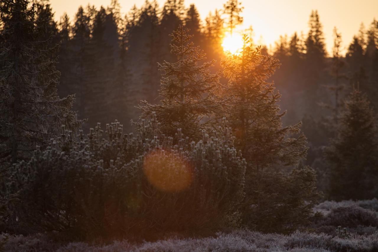 Penzion Horska Kvilda Esterno foto